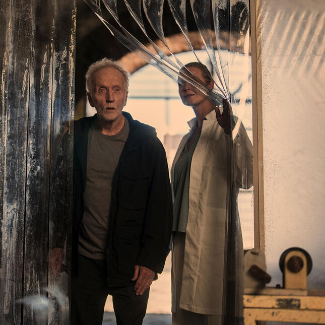 ANFA COLLECTIVE | the legacy of 'saw'