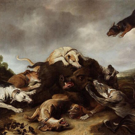 apocalypse confidential | introducing the boar